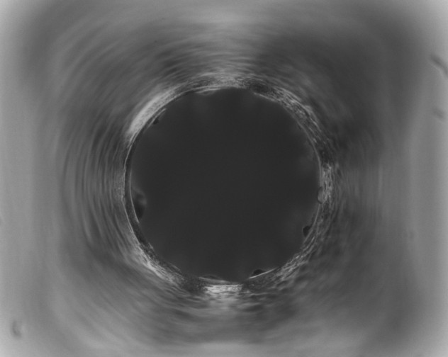 X0000100220051200805301355