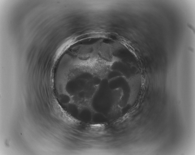 X0000100220053200805301355