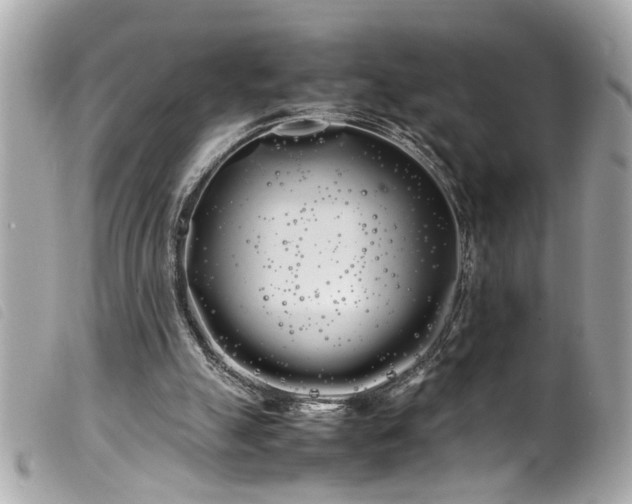 X0000100220055200805301355