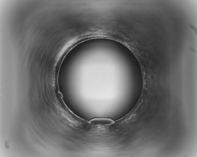 X0000100220056200805301355