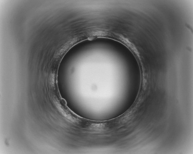 X0000100220057200805301355