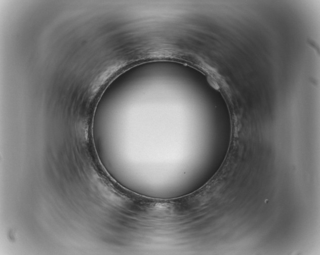 X0000100220060200805301355