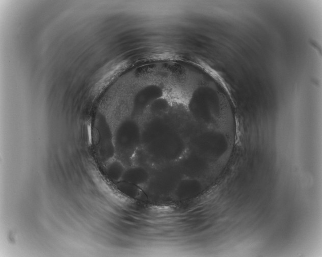 X0000100220061200805301355