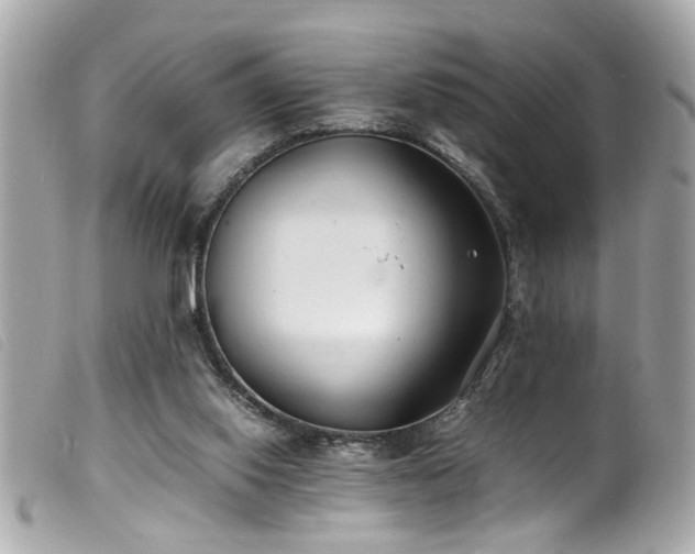 X0000100220062200805301355