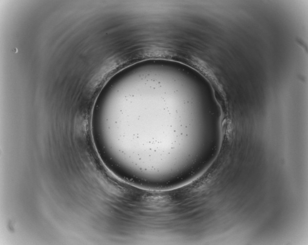 X0000100220063200805301355