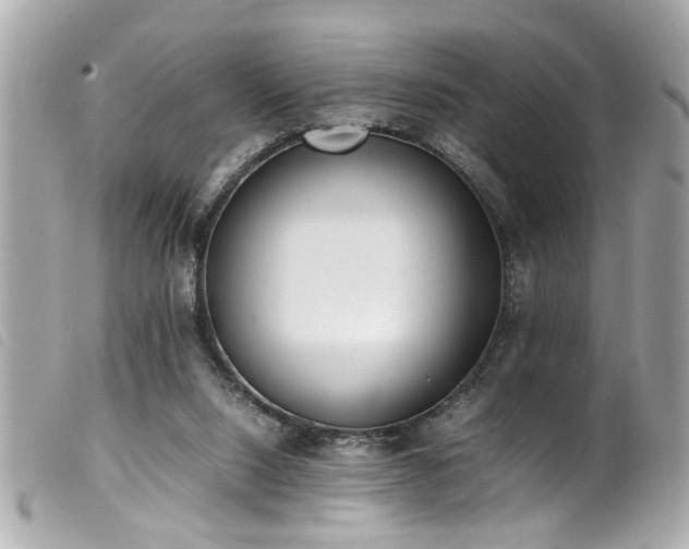 X0000100220064200805301355