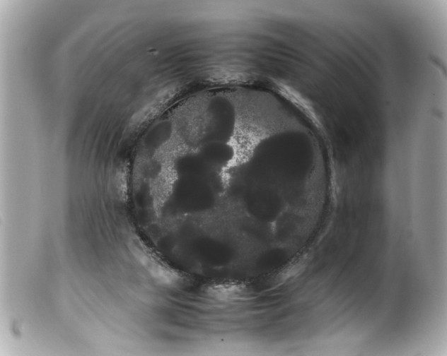 X0000100220065200805301355