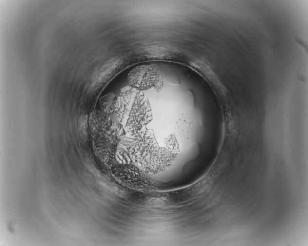 X0000100220066200805301355