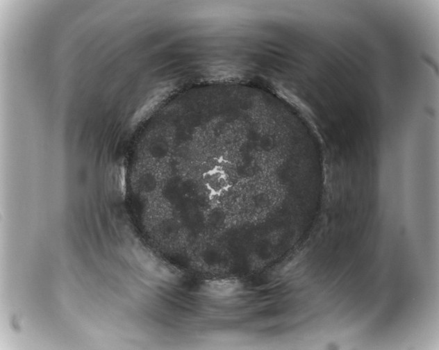 X0000100220067200805301355