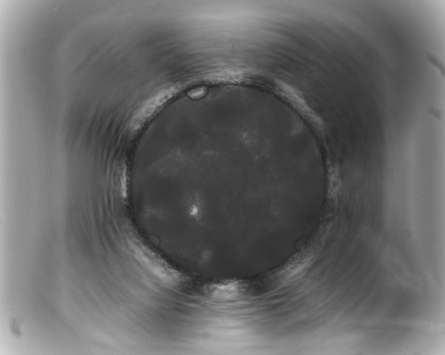 X0000100220068200805301355