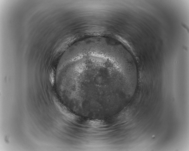 X0000100220069200805301355