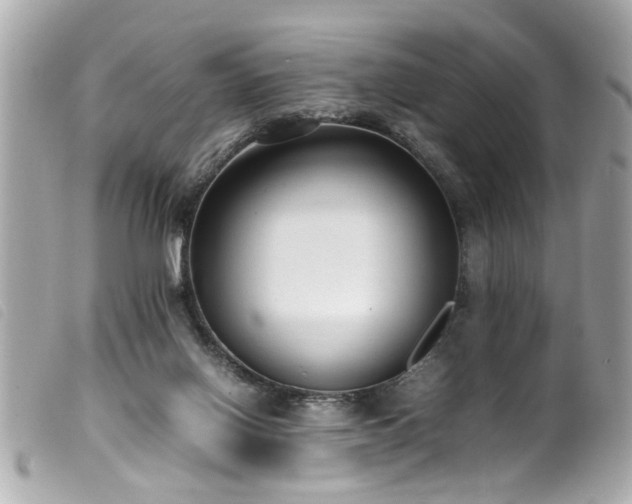 X0000100220070200805301355