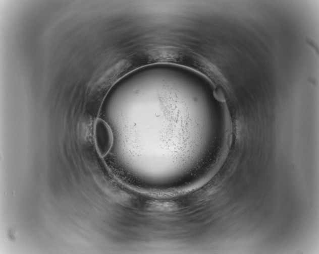 X0000100220073200805301355