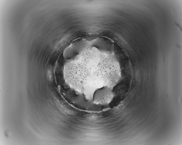 X0000100220074200805301355