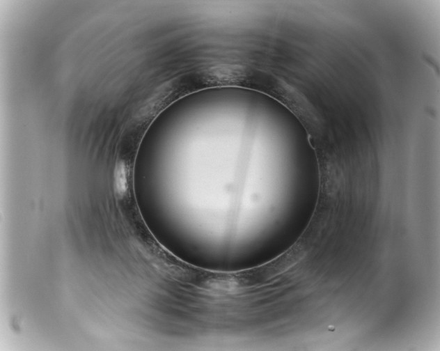 X0000100220075200805301355