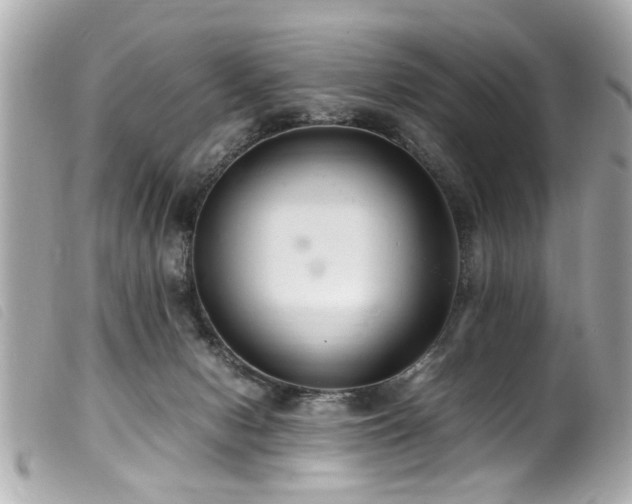 X0000100220078200805301355