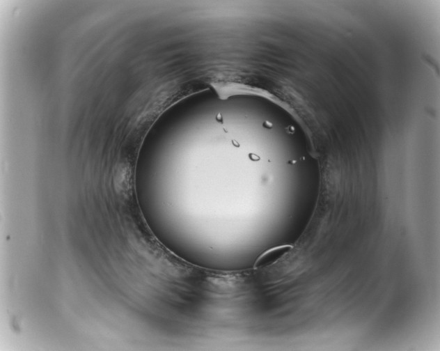 X0000100220079200805301355