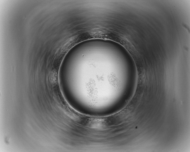 X0000100220081200805301355