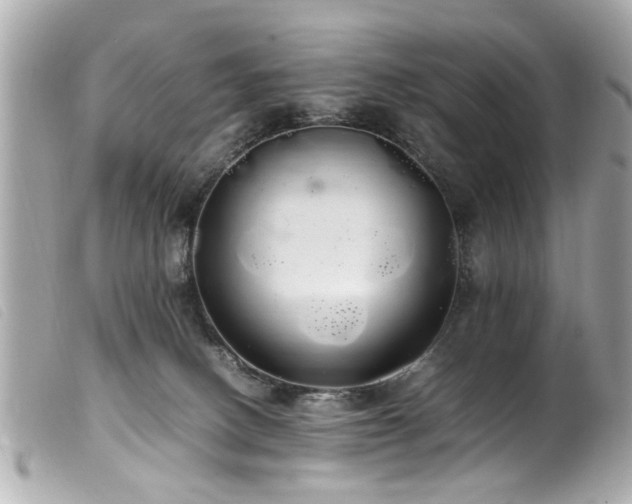 X0000100220082200805301355