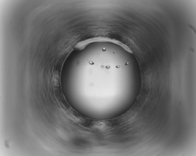 X0000100220083200805301355