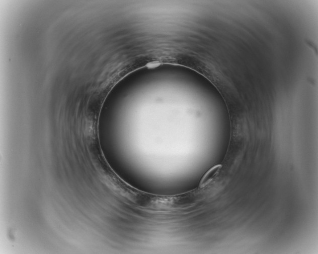 X0000100220084200805301355