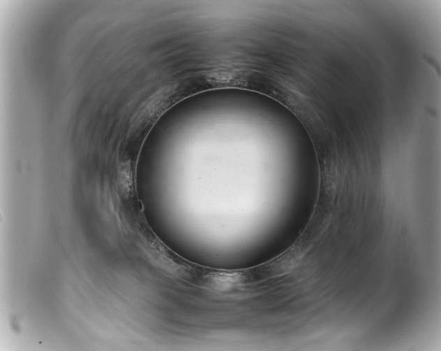 X0000100220085200805301355