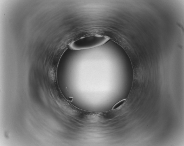 X0000100220086200805301355