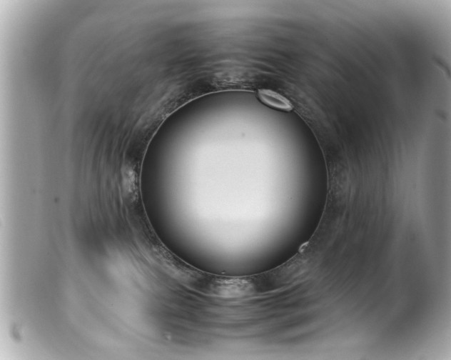 X0000100220087200805301356