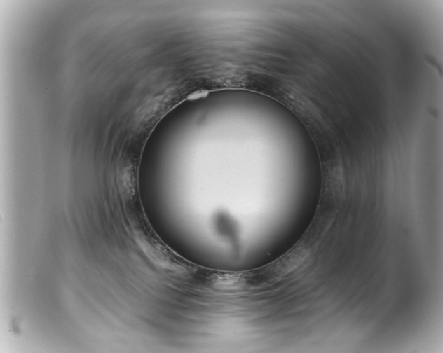 X0000100220088200805301356