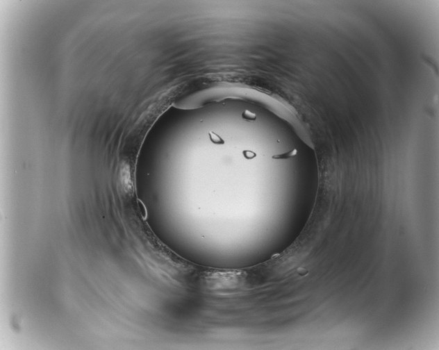 X0000100220089200805301356