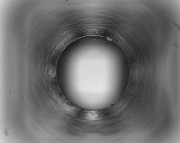 X0000100220091200805301356