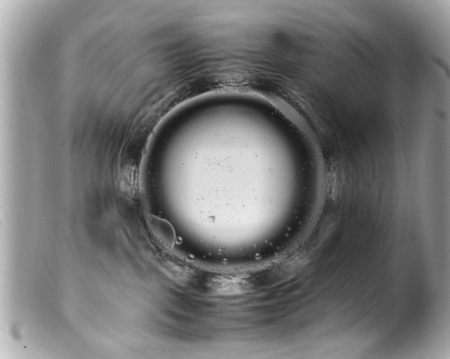 X0000100220093200805301356