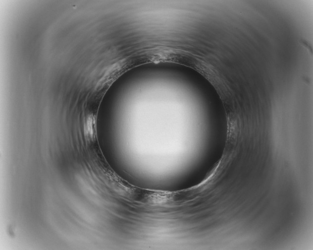 X0000100220094200805301356