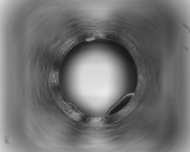 X0000100220096200805301356