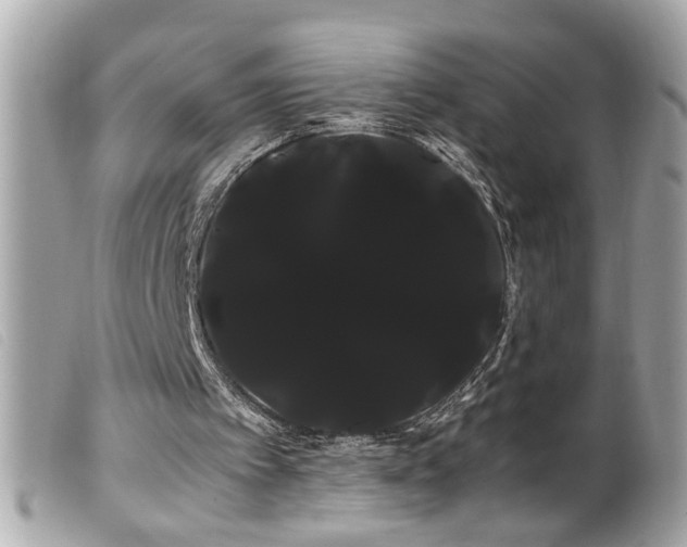 X0000100220097200805301355