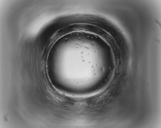 X0000100220099200805301355