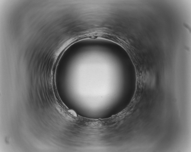 X0000100220100200805301355