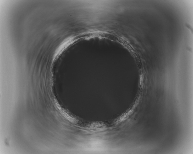 X0000100220101200805301355