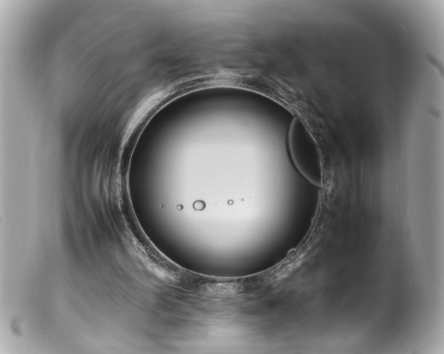 X0000100220102200805301355