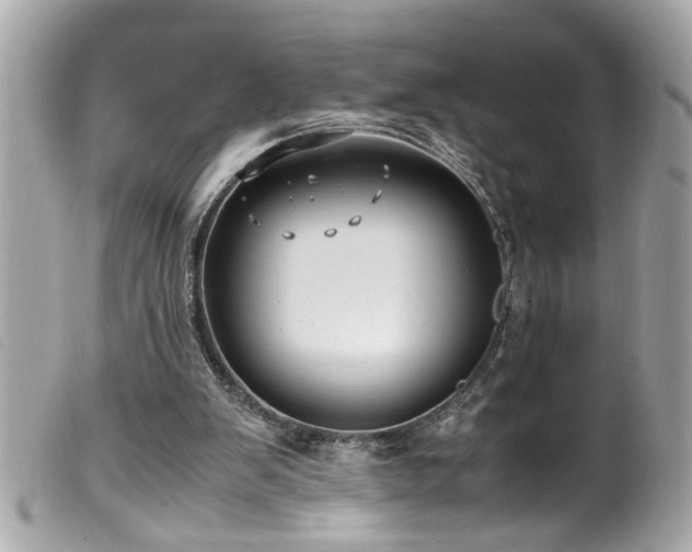 X0000100220103200805301355