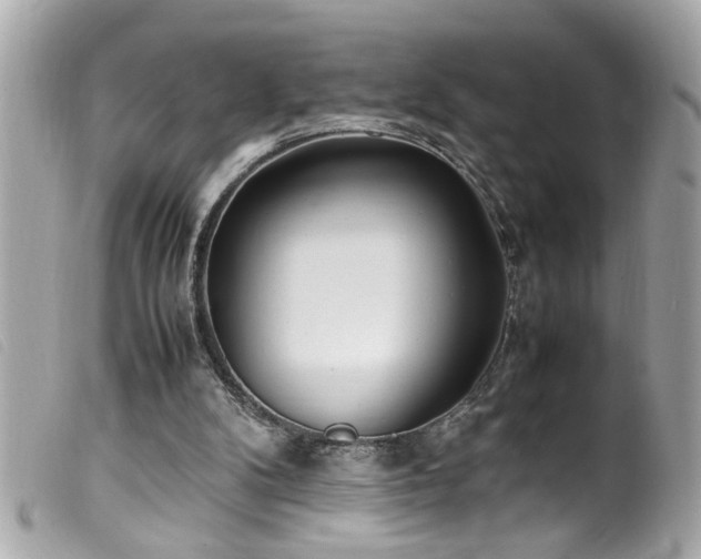 X0000100220104200805301355