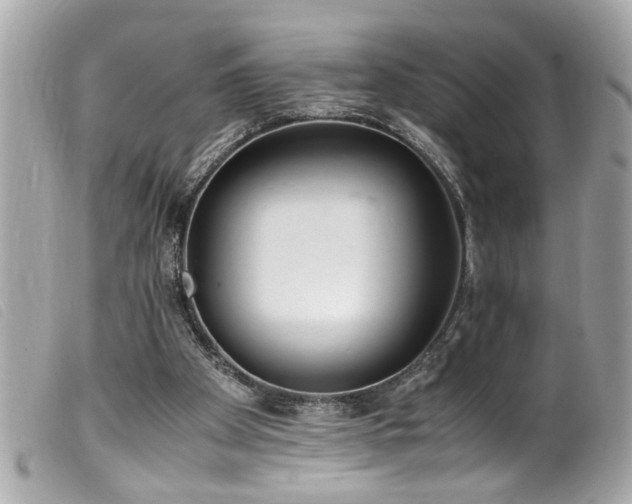 X0000100220105200805301355