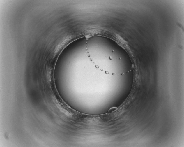 X0000100220106200805301355