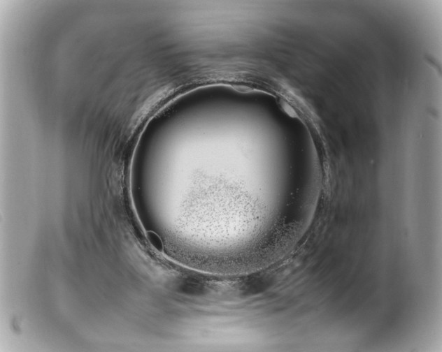 X0000100220107200805301355