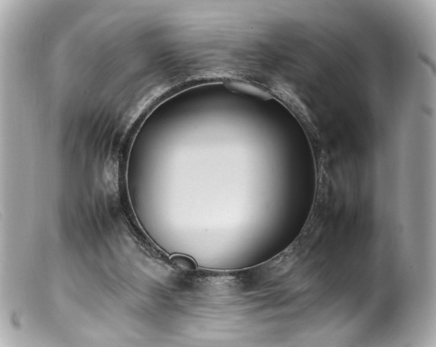 X0000100220108200805301355