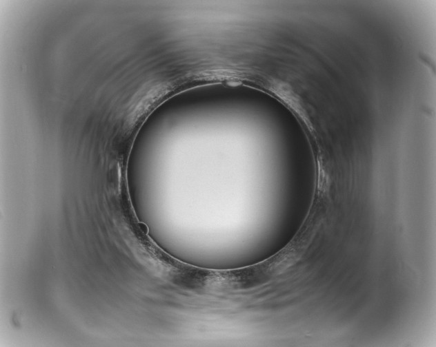 X0000100220109200805301355