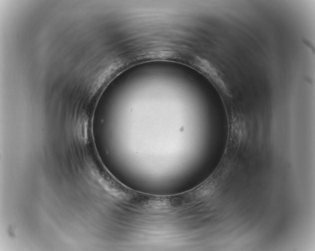 X0000100220110200805301355