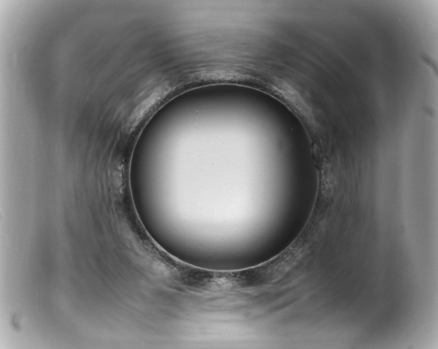 X0000100220111200805301355