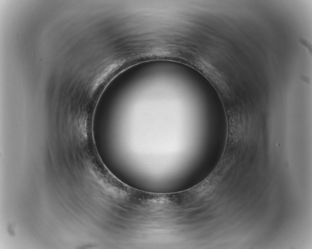 X0000100220112200805301355