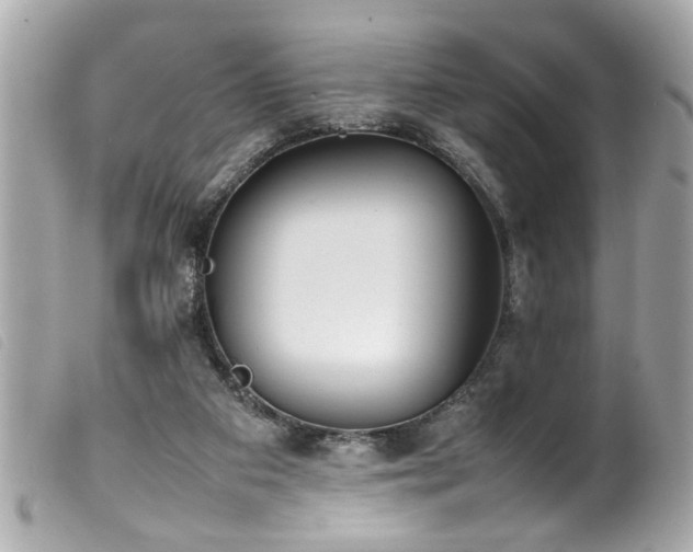 X0000100220113200805301355